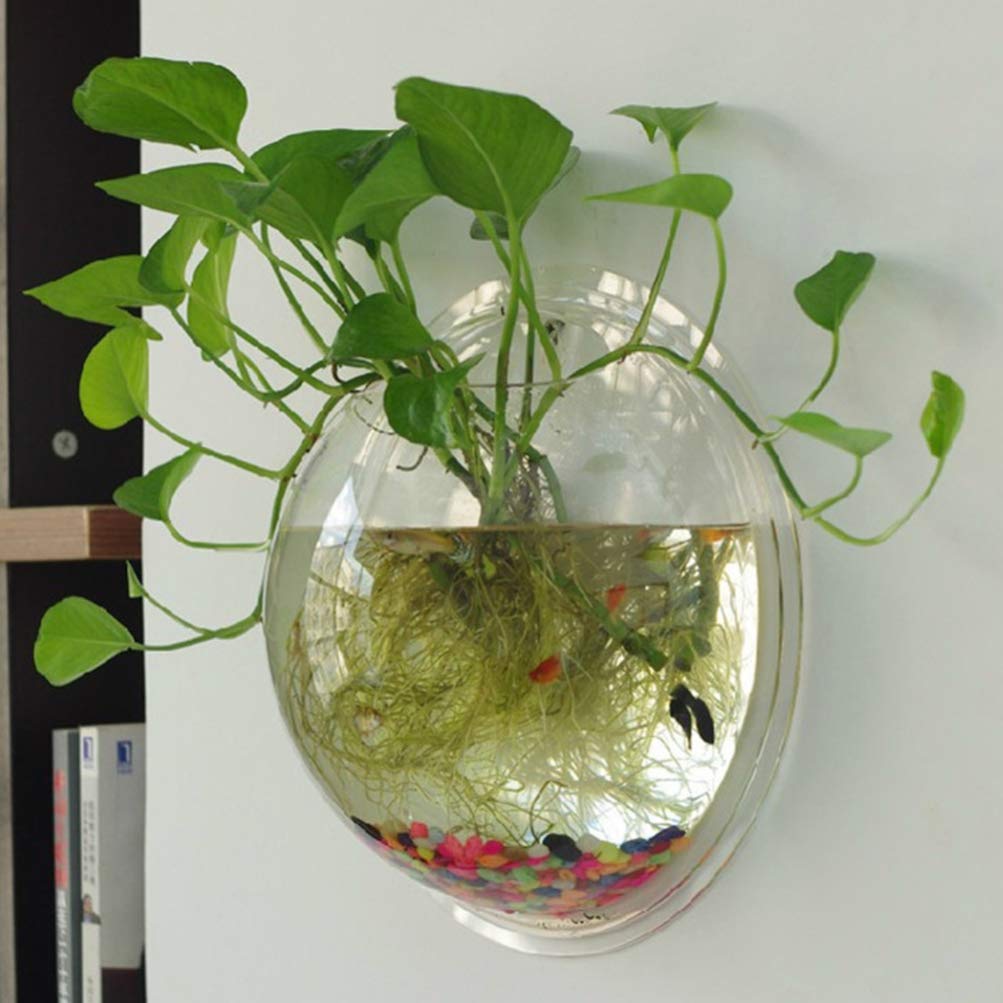 iplusmile wall-mounted aquarium setup ideal for living rooms or balconies