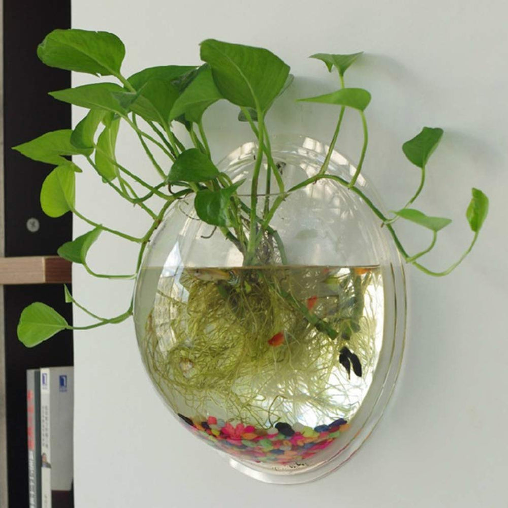 iplusmile wall-mounted aquarium setup ideal for living rooms or balconies