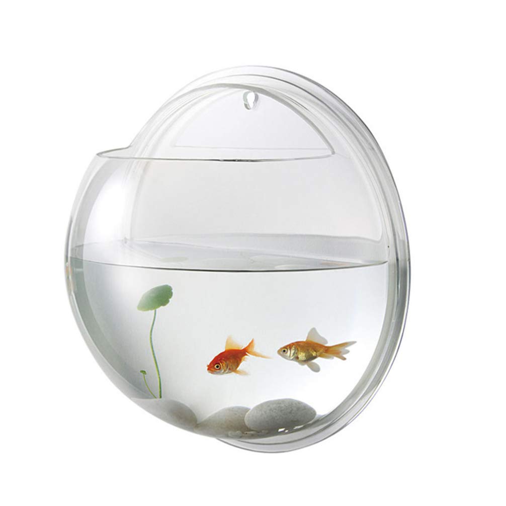 iplusmile wall-mounted fish tank acrylic durable for a sturdy, space-saving home display.