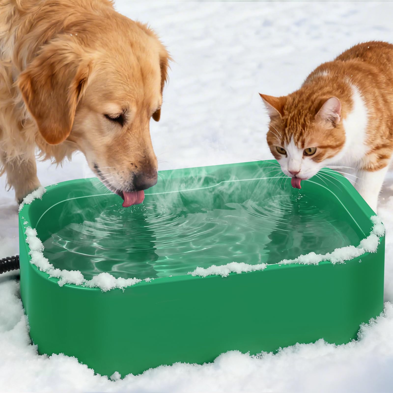 IPOW extra large heated water bowl top view showing ample capacity for multiple pets
