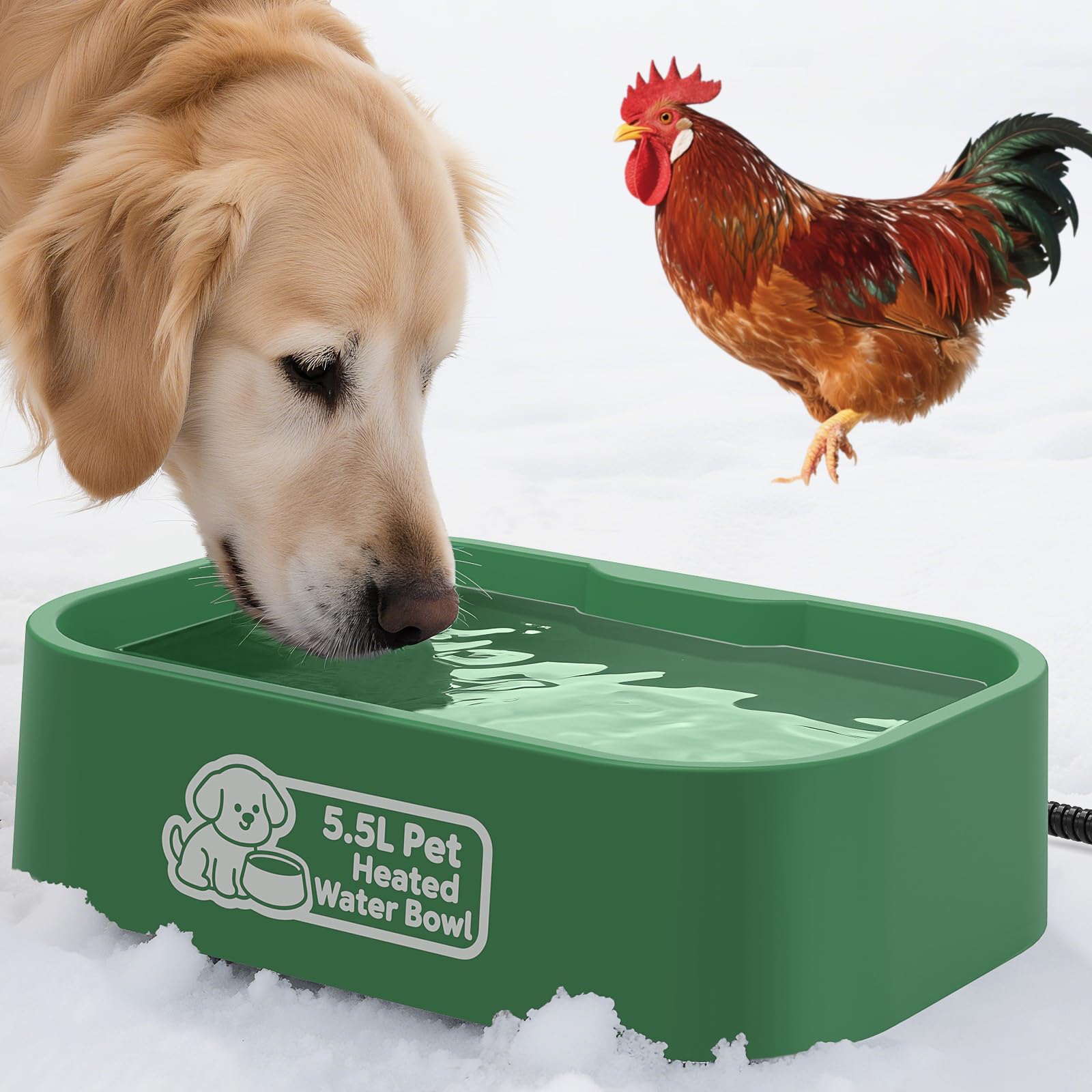 IPOW pet heated water bowl 5.5L outdoors rectangular design supports all-day hydration