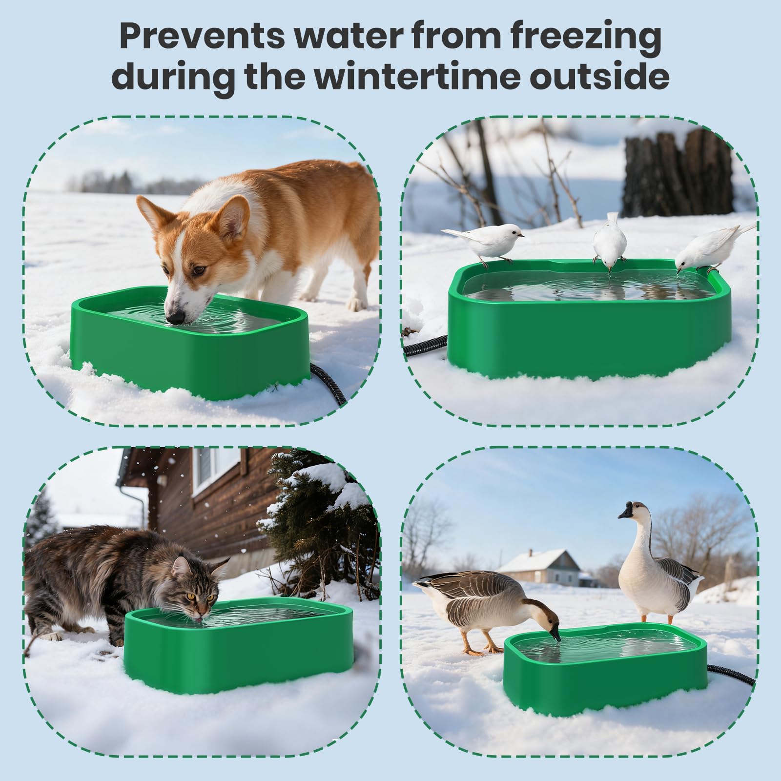 IPOW winter garden wildlife drinking from heated water bowl