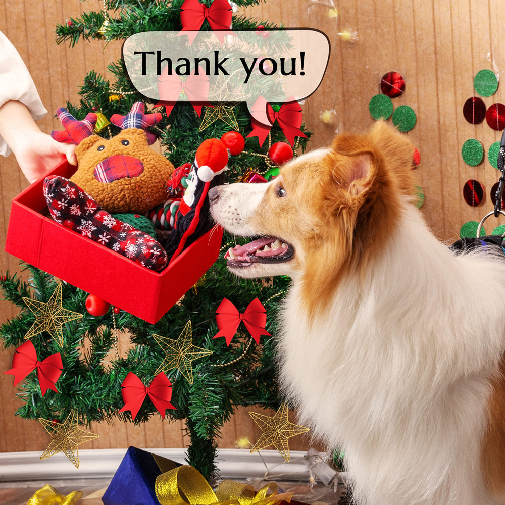 IPRAVOCI christmas tree rope toy showing tug and chew action.