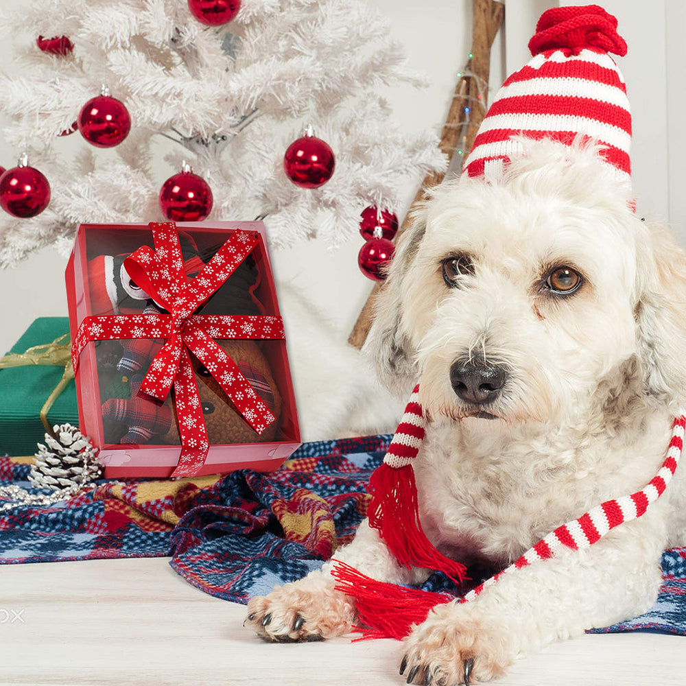 IPRAVOCI red snowflake ball for indoor fetch and light play.