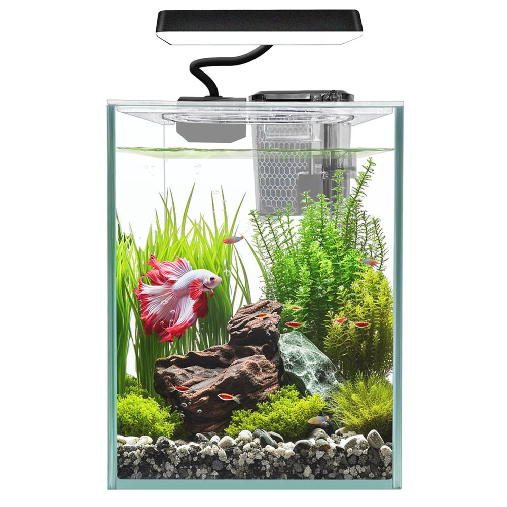 ipriro ultra white glass betta tank 4mm glass closeup for crystal-clear viewing