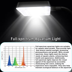 ipriro ultra white glass betta tank led-light on for vibrant underwater viewing