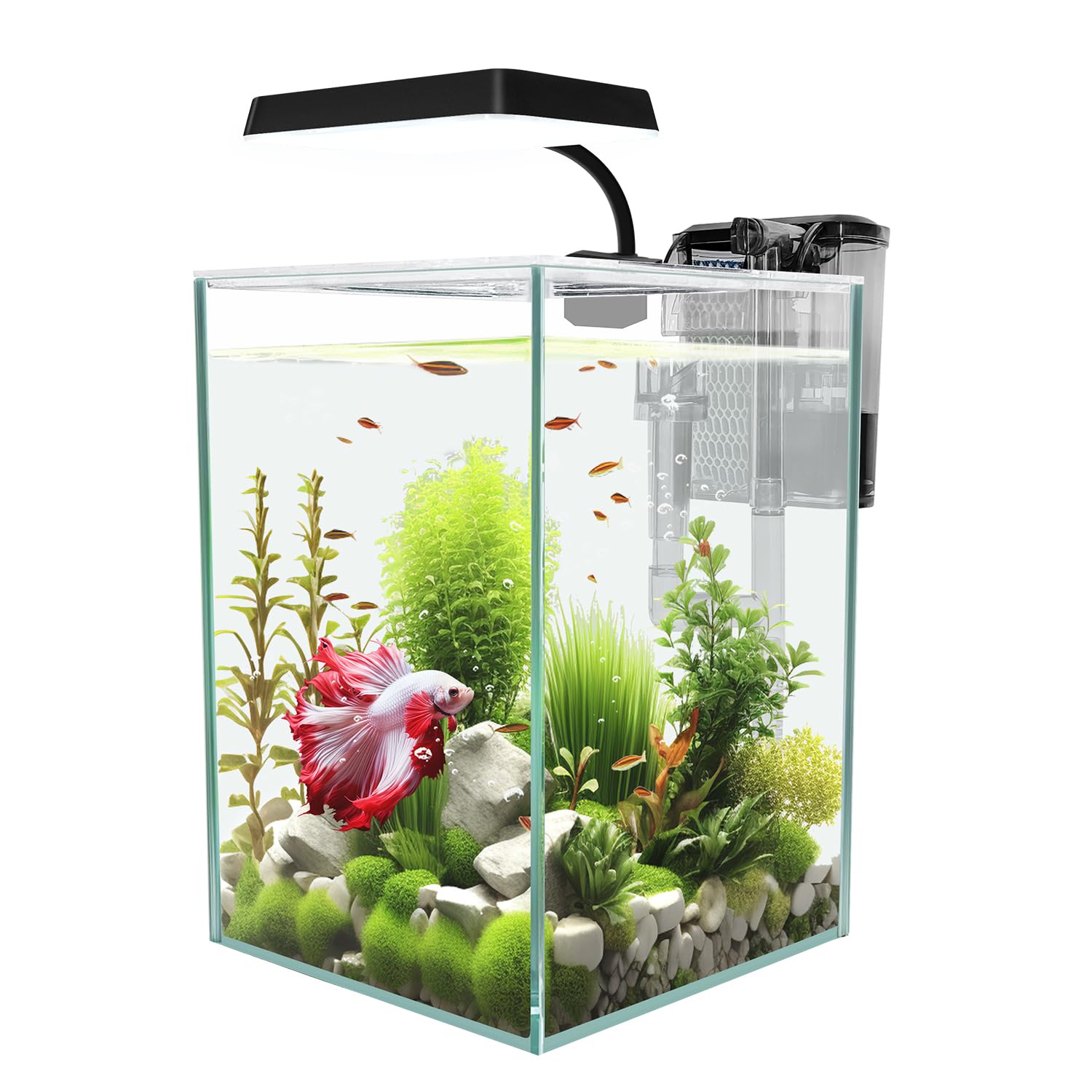 ipriro ultra white glass betta tank packaging ready-to-gift