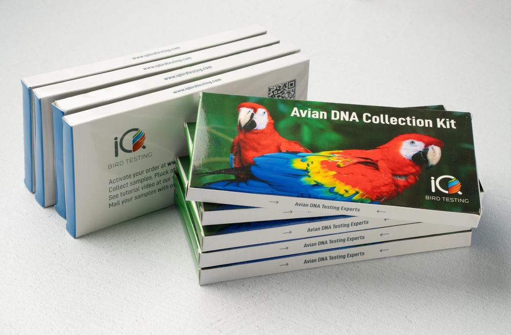 IQ BIRD TESTING bird-dna-gender-test-kit-cover shows contents for easy sampling.