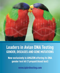 IQ BIRD TESTING sample-collection-tools set enables precise bird sampling.