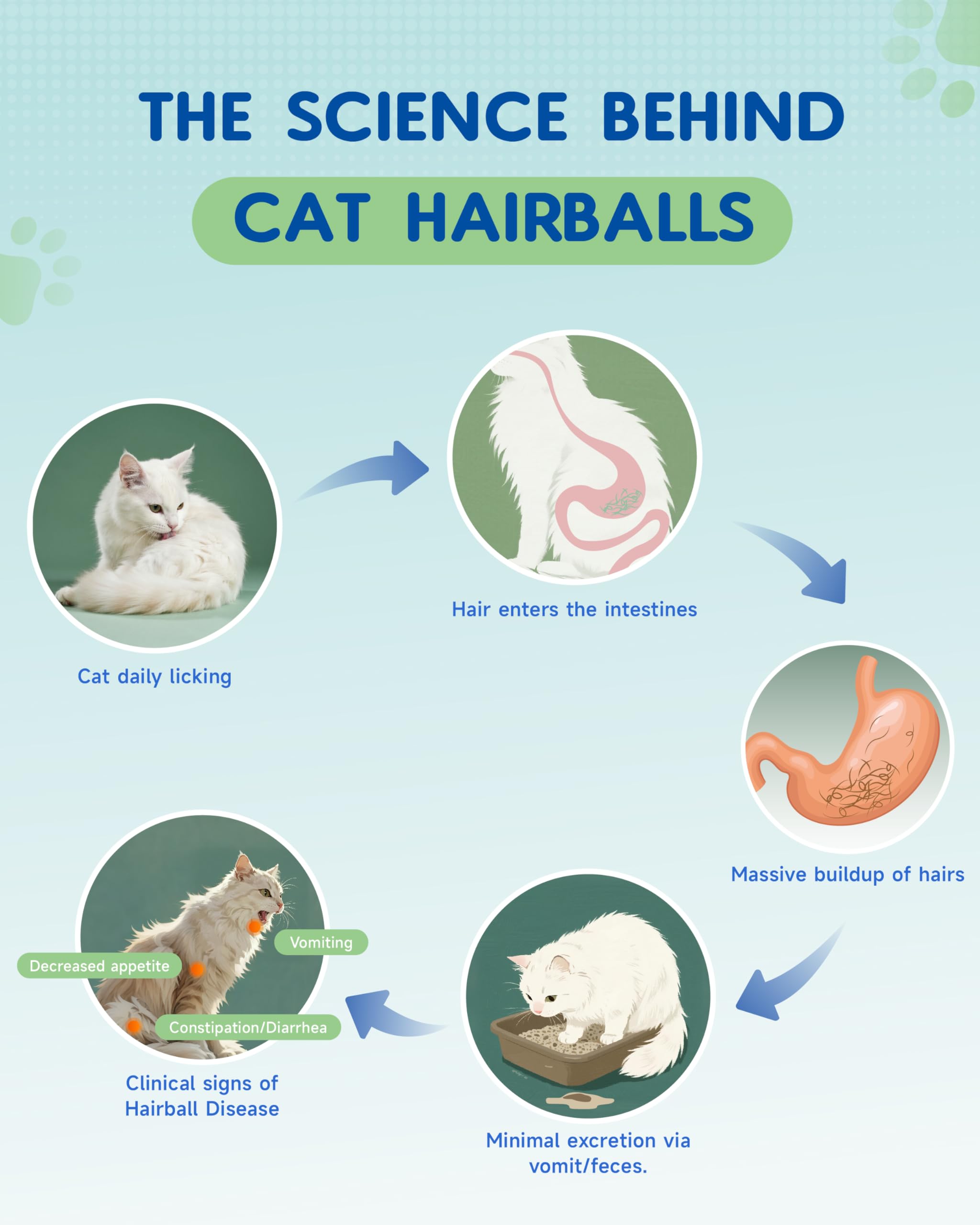IRALUN Hairball Treatment dropper ready for daily 1–2 drops