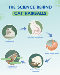 IRALUN Hairball Treatment dropper ready for daily 1–2 drops