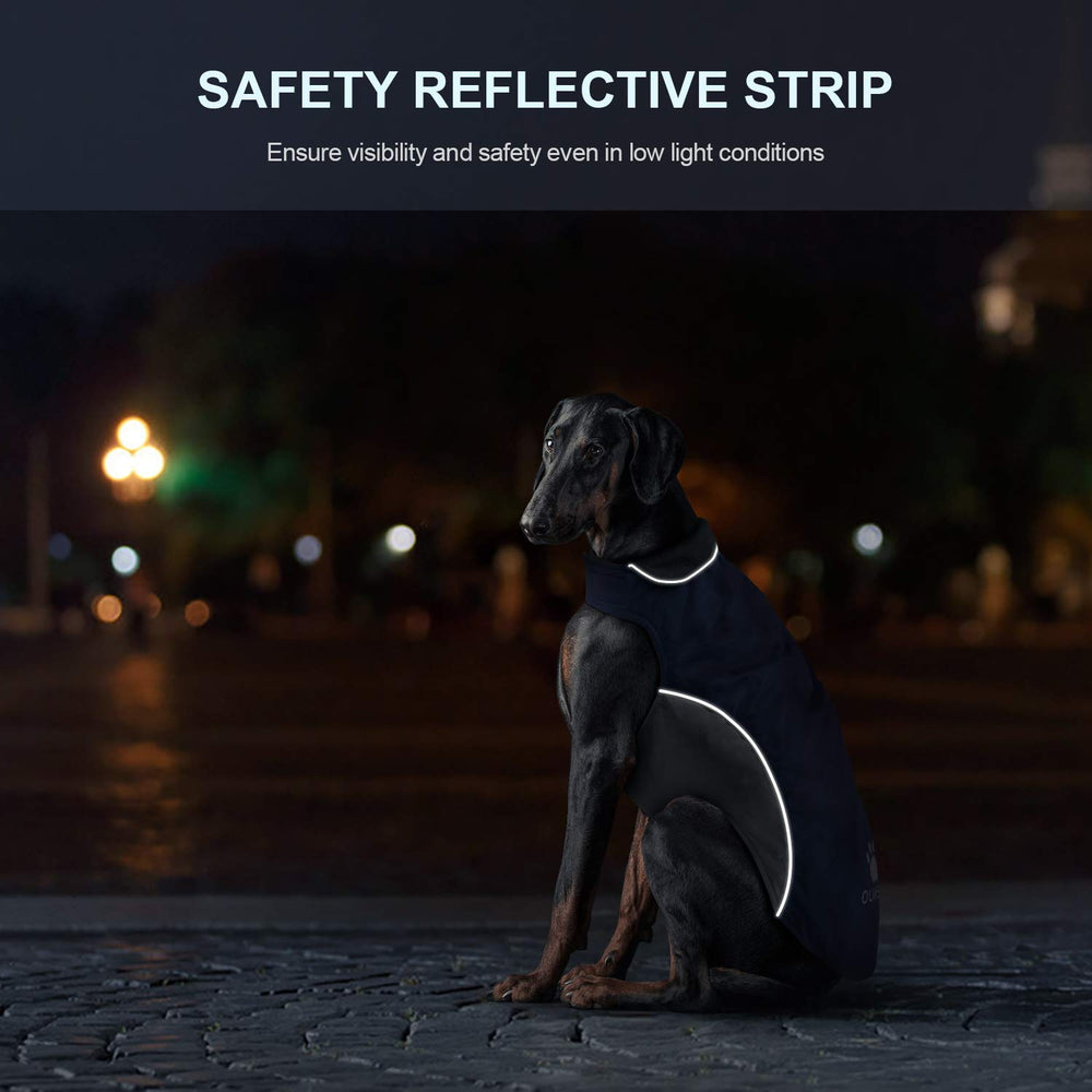 IREENUO harness-hole design allows easy leash connection