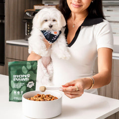 Iron Paws digestive-immunity-gut-health: probiotics and greens may aid gut balance.