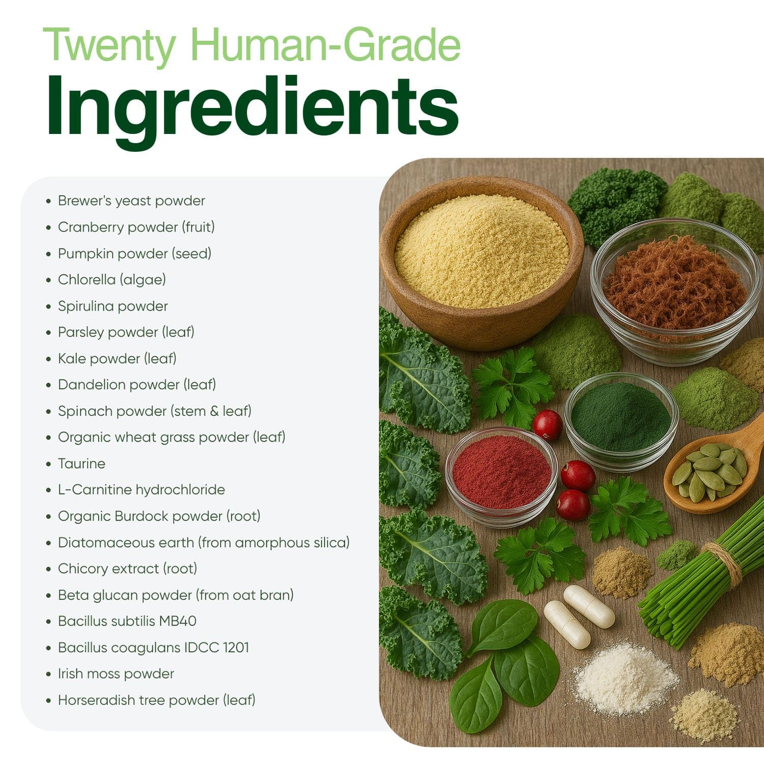 Iron Paws powder-bottle-closeup: premium greens powder in a compact bottle.