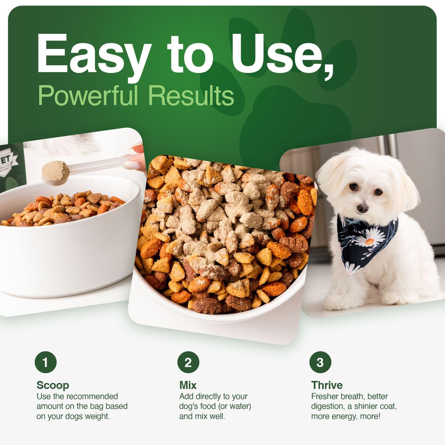 Iron Paws skin-coat-glow-dogs: antioxidants support a vibrant coat.