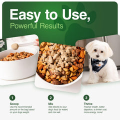 Iron Paws skin-coat-glow-dogs: antioxidants support a vibrant coat.