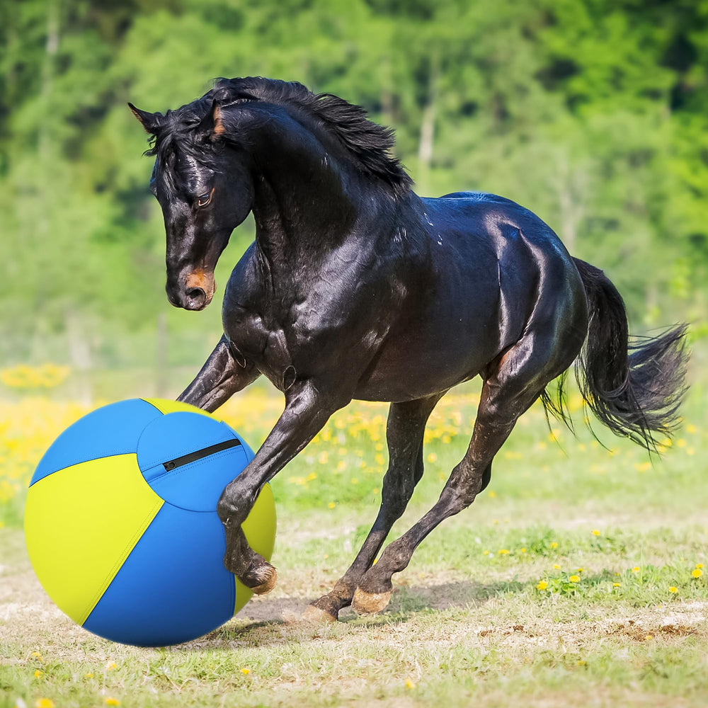 Irondance Herding Ball inflates quickly with included pump and accessories.