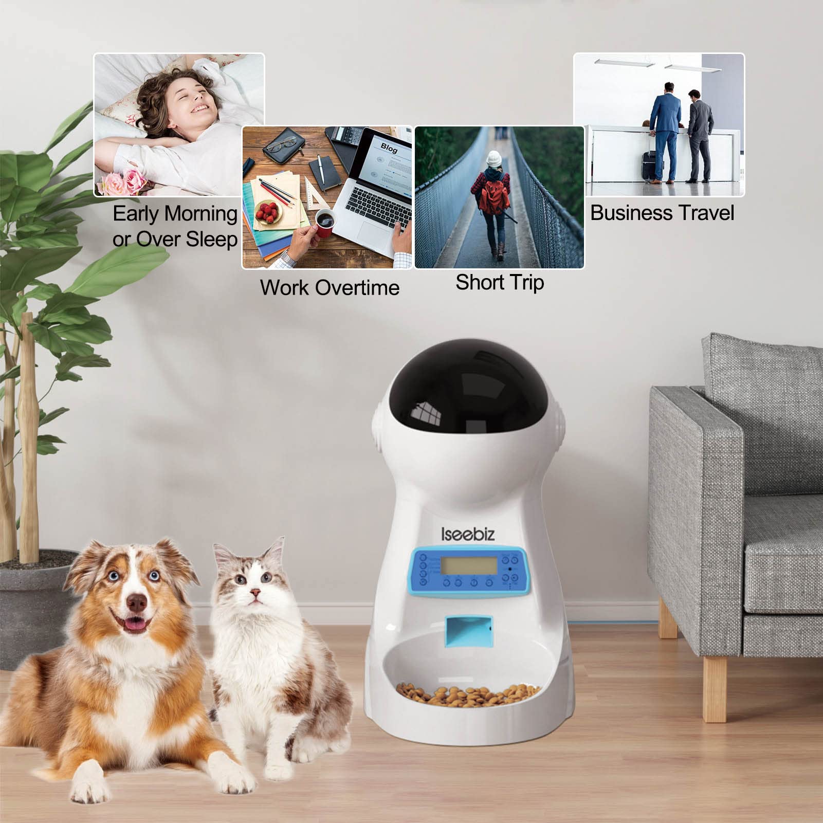 Iseebiz feeder voice recording calls pets during dispensing.