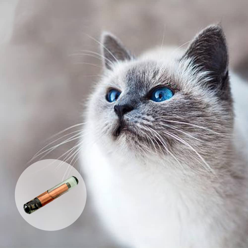 ISENVO ICAR-certified tag in use; trusted for pet identification.
