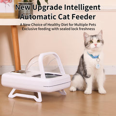 ISENVO RFID collar tag recognition close-up enabling pet-specific feeding.