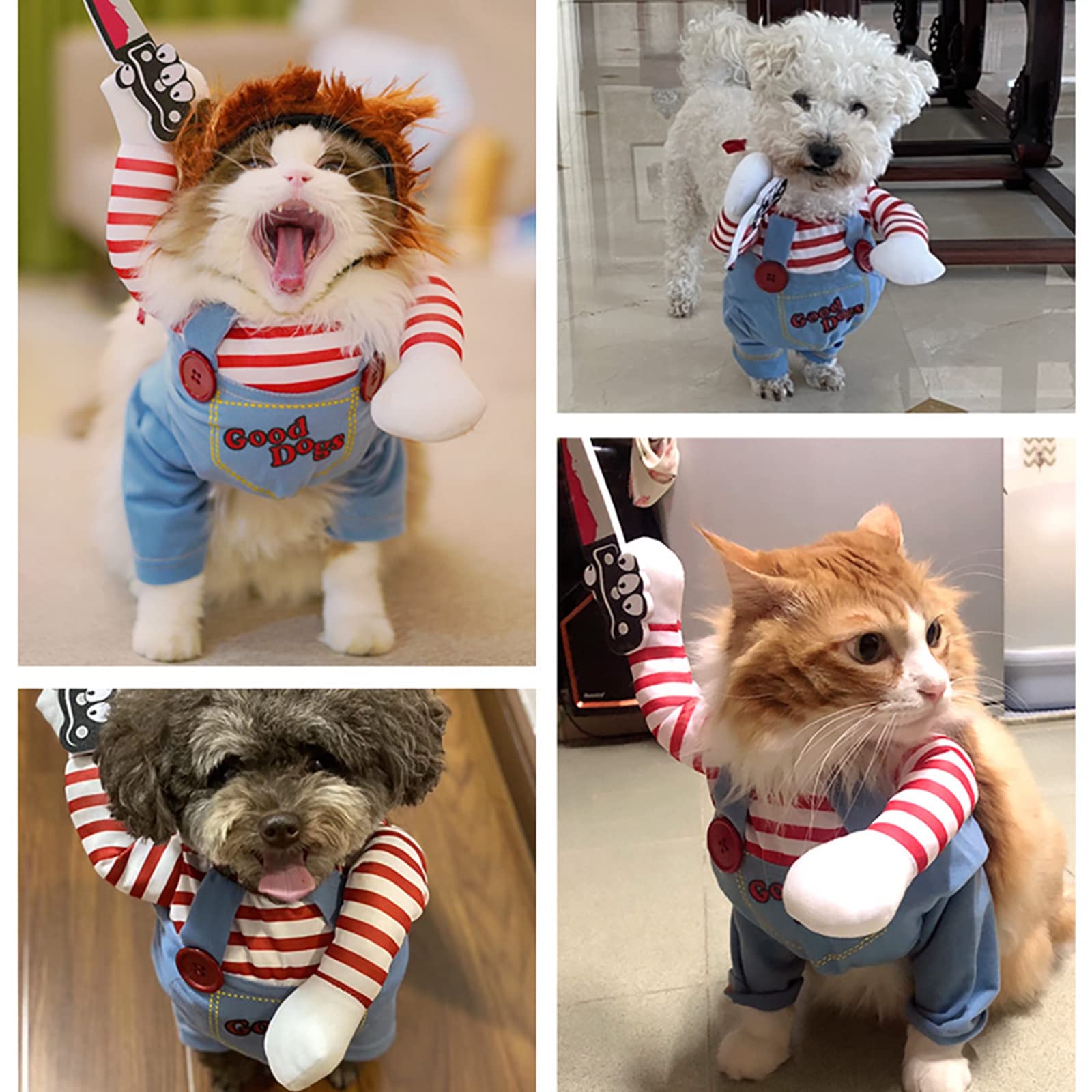 ISMARTEN Deadly Doll breathable fabric keeps dogs comfortable during wear.