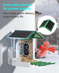 isYoung Bird Feeder 1.25L capacity keeps seeds fresh during outdoor use