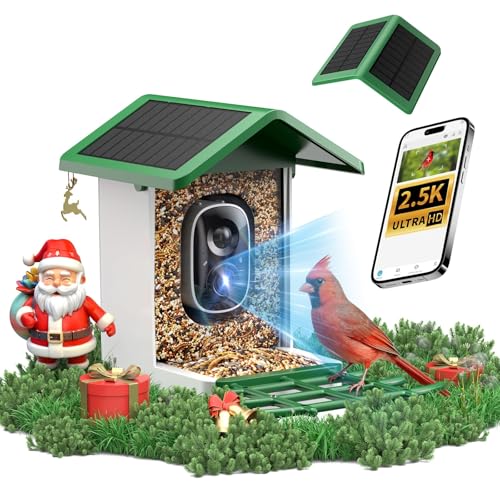 isYoung Smart Bird Feeder camera captures 2.5K footage for backyard birdwatching