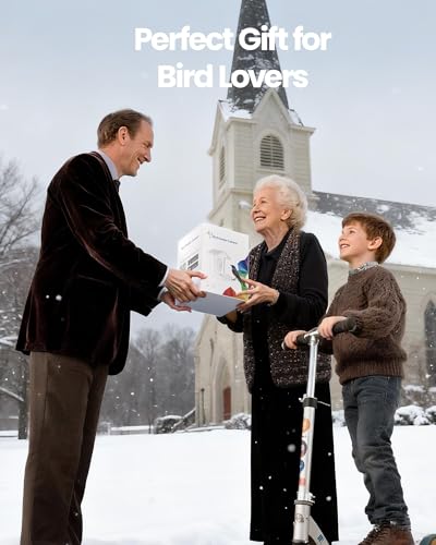 isYoung Bird Feeder with 2.4GHz WiFi stays connected for remote viewing