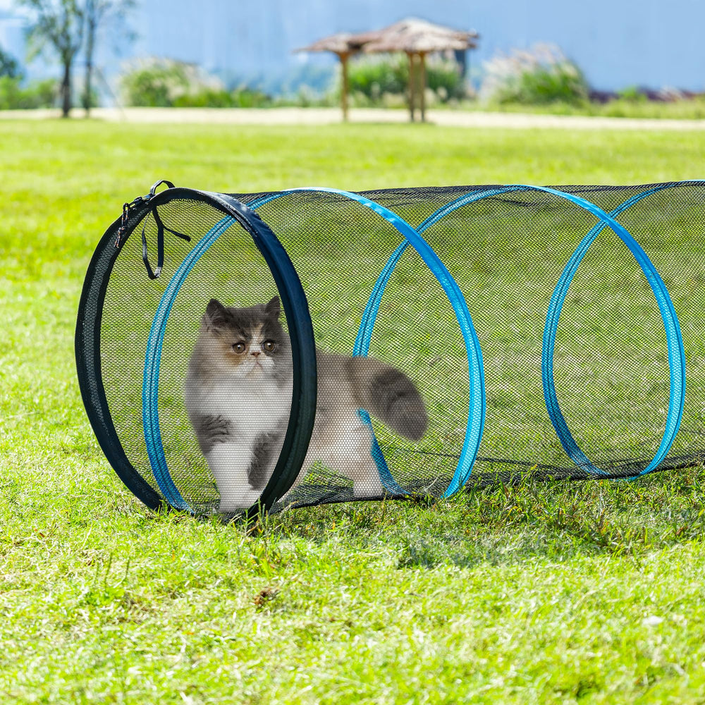 ITENT cat play tunnel blue trim color adds a bright inviting play space.