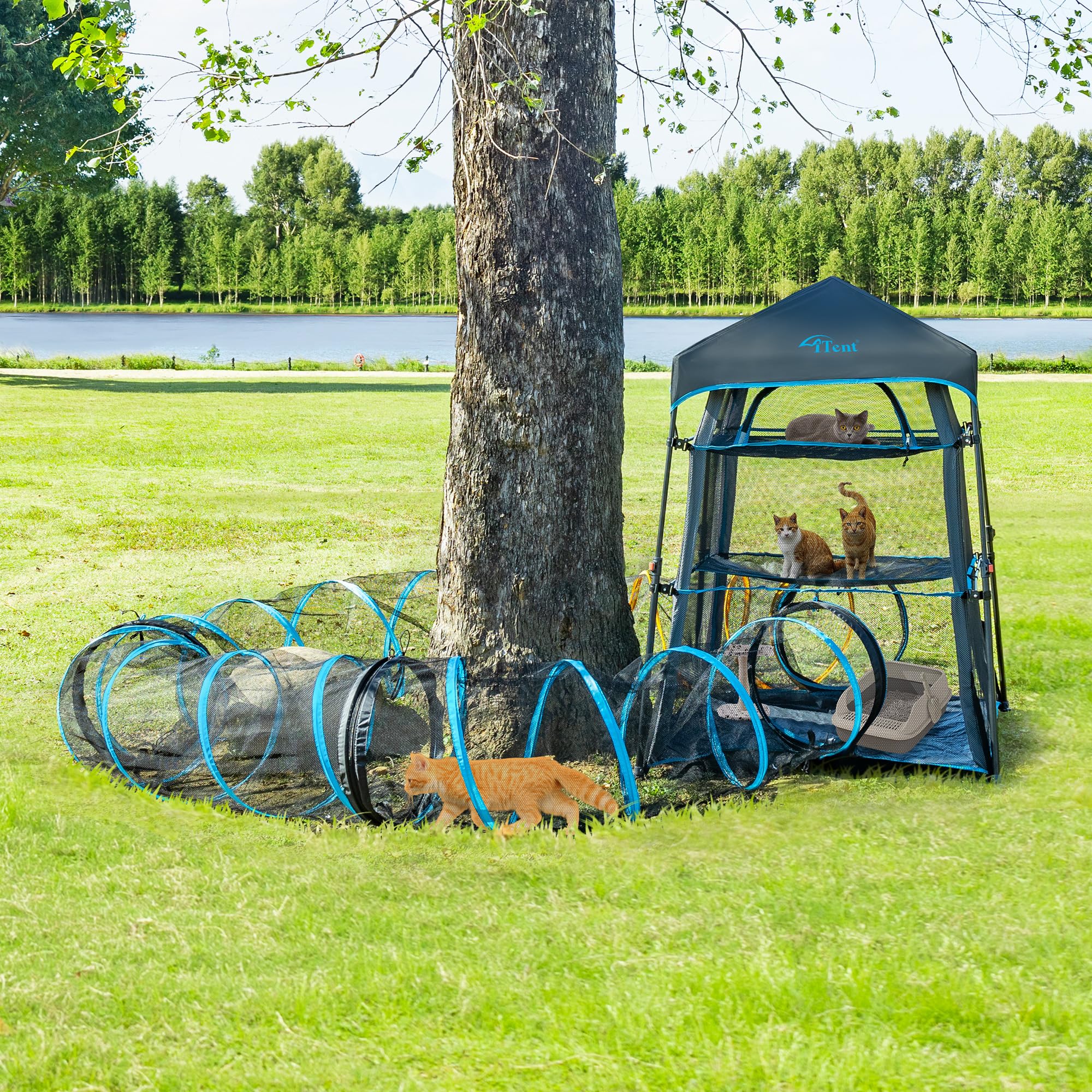 ITENT cat play tunnel mesh close-up highlights breathable fabric and easy supervision.