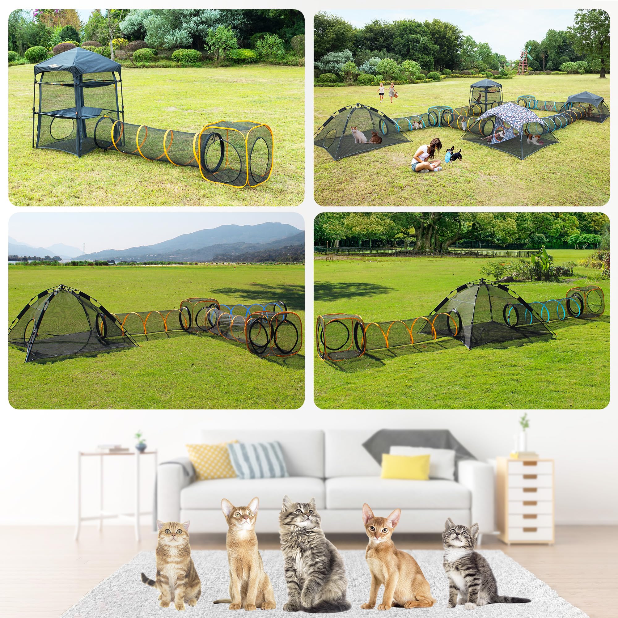 ITENT spacious interior play area suitable for cats and small pets