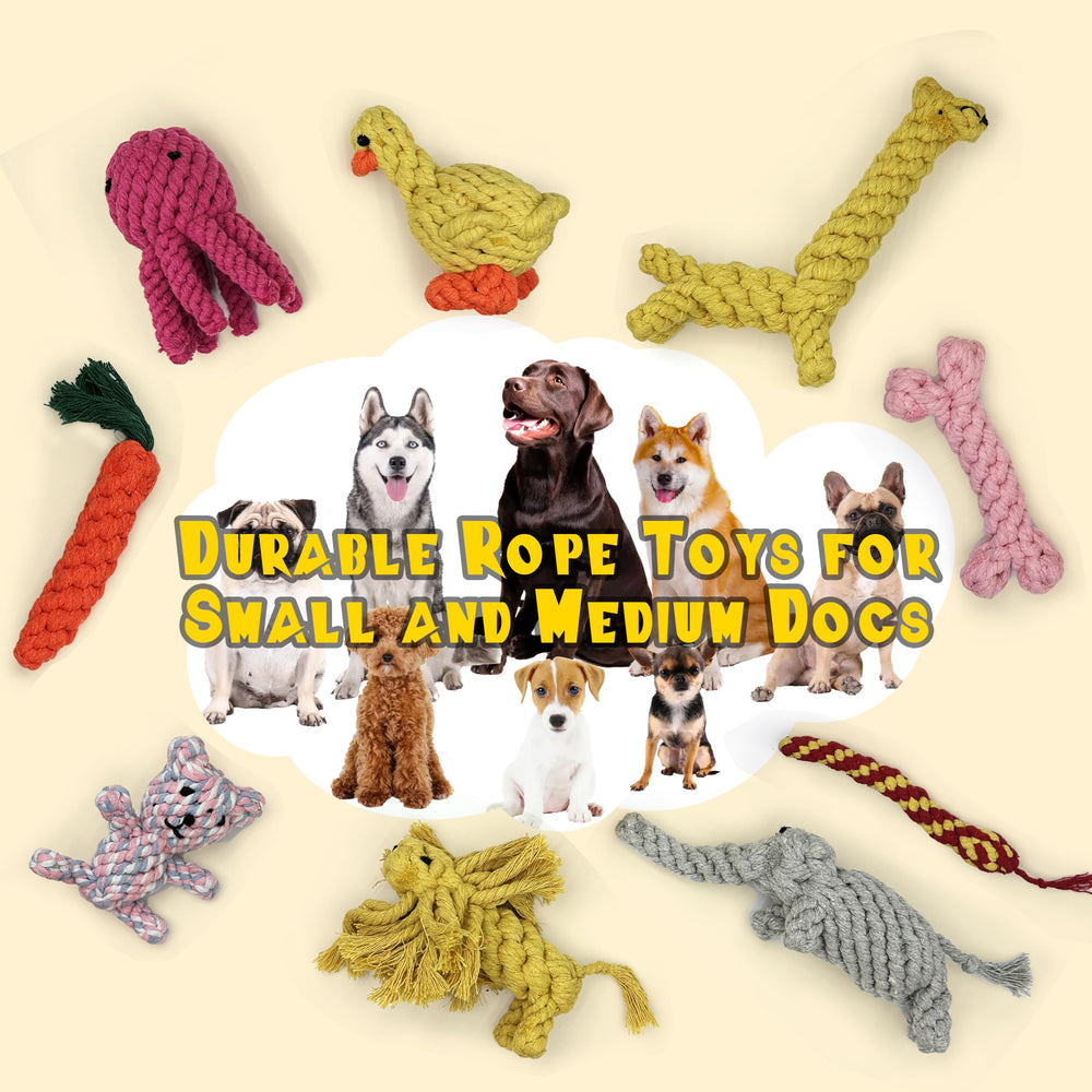ITISMUNGO dog tug rope toy for shared play sessions