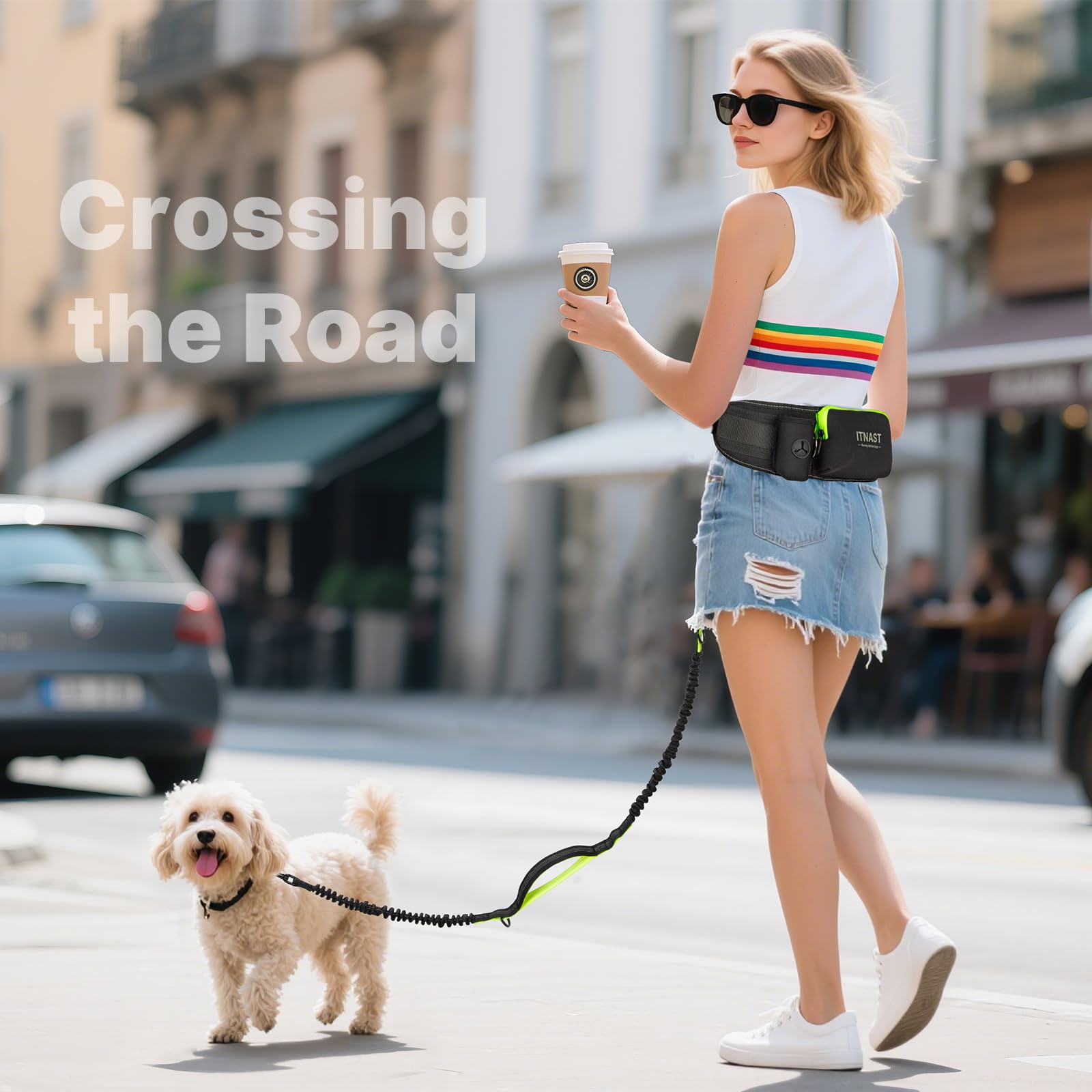 ITNAST dog running action on trail shows freedom and control during runs.