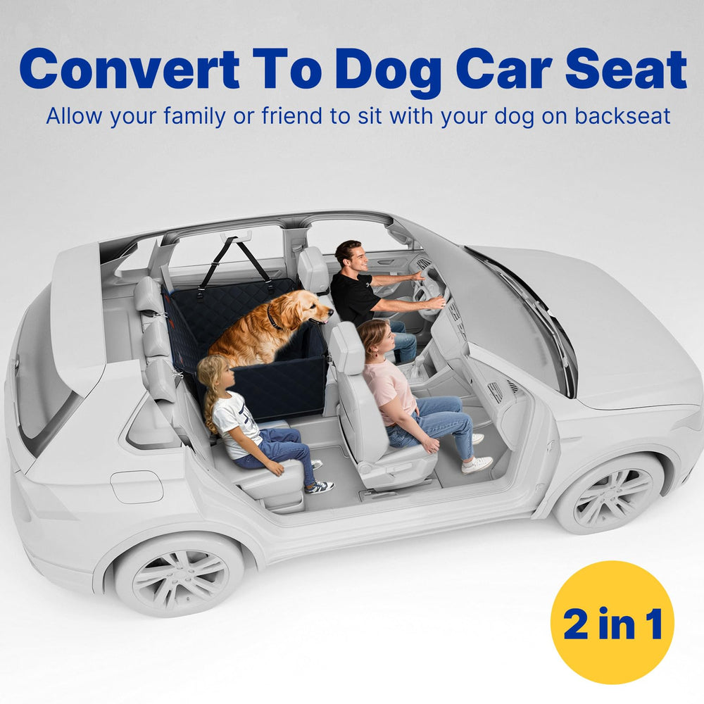 ITNAST pet safety and comfort on road trips.