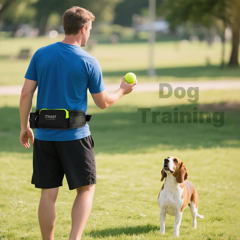 ITNAST utility belt storage displays compartments for water, treats, and phone.