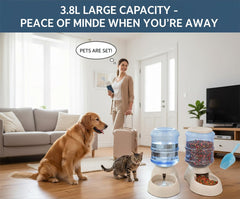 Ito Rocky-6-meal-automatic-dispenser shows convenient portion control and pets' routine.