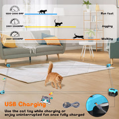 ITSHINY cat treadmill feather attachment demonstrates versatile toy options for enrichment