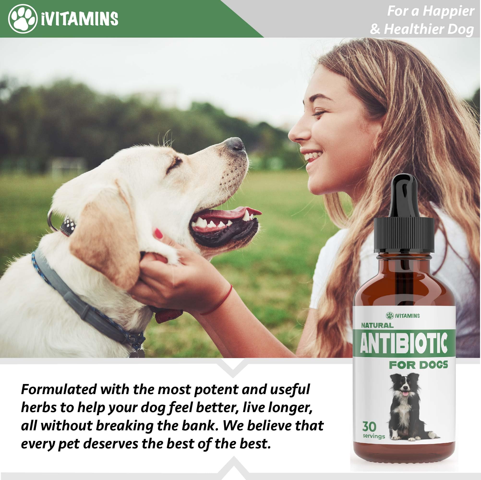 iVitamins bacon-flavored dog antibiotic aids palatable dosing
