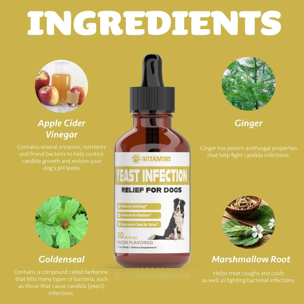 iVitamins liquid formula pours easily and blends into meals for consistent dosing