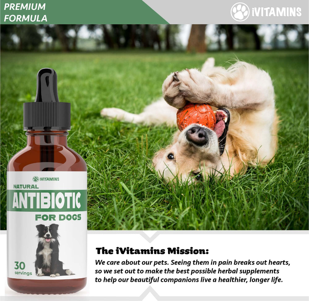 iVitamins natural dog antibiotics daily-use supports everyday health