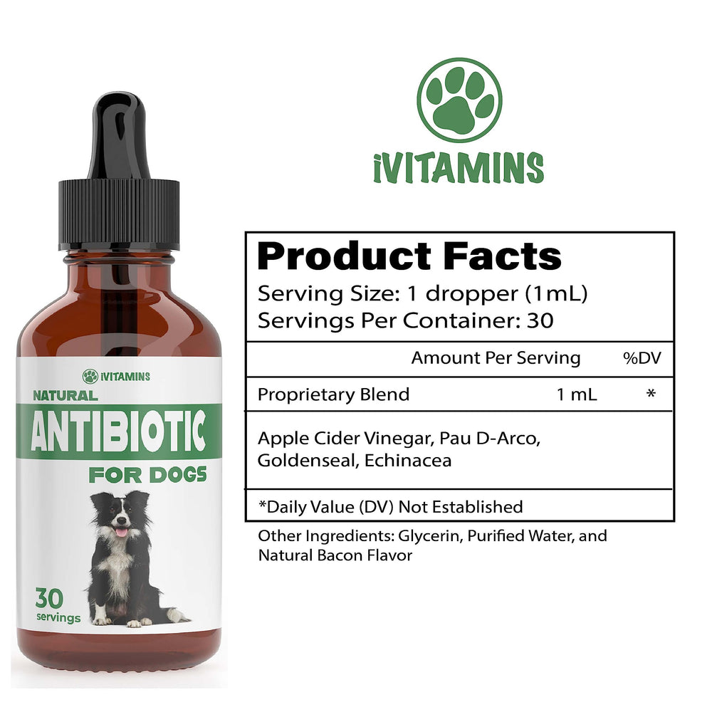 iVitamins liquid dog antibiotic dropper enables easy dosing at home