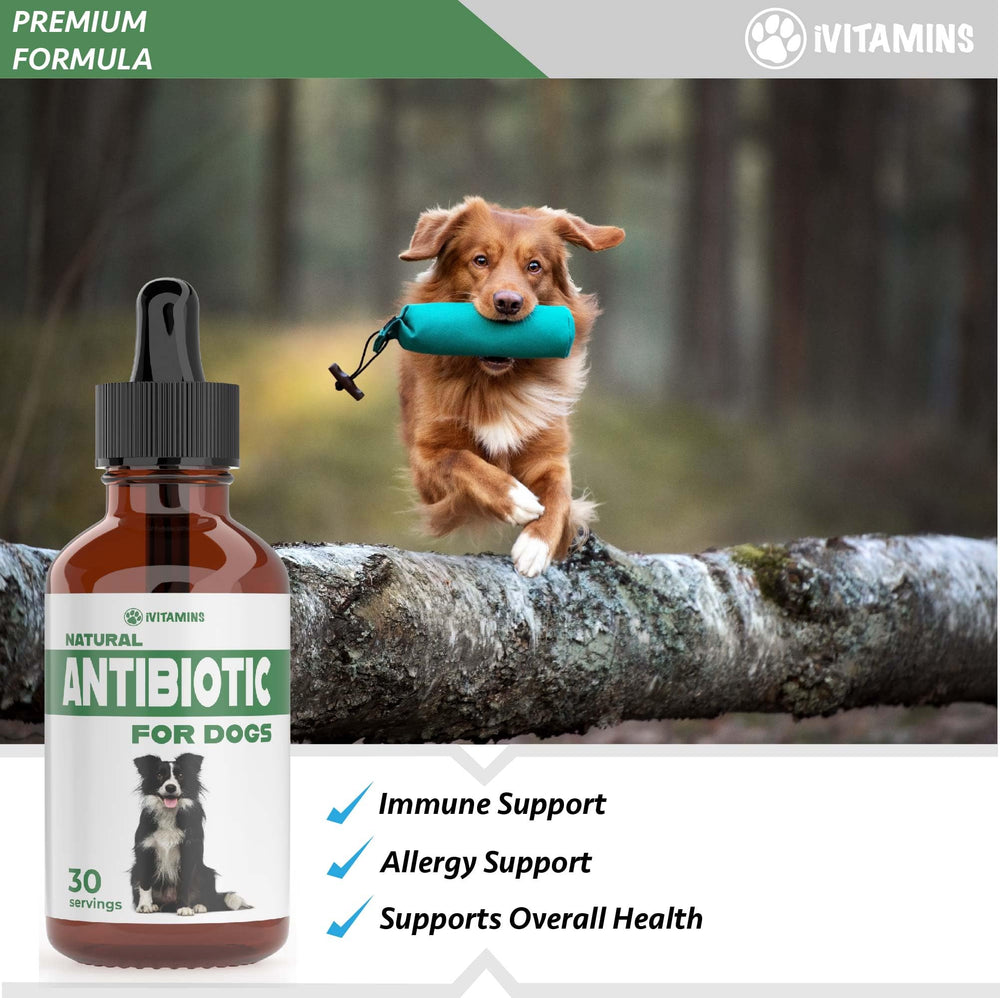 iVitamins natural dog antibiotics added to food for convenient administration