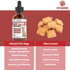 iVitamins Vitamin B for Dogs bottle focuses on brain function support