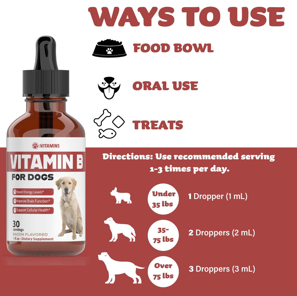 iVitamins Vitamin B complex image shows cellular health support