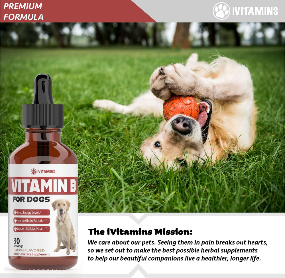 iVitamins Vitamin B for Dogs cruelty-free USA-made quality