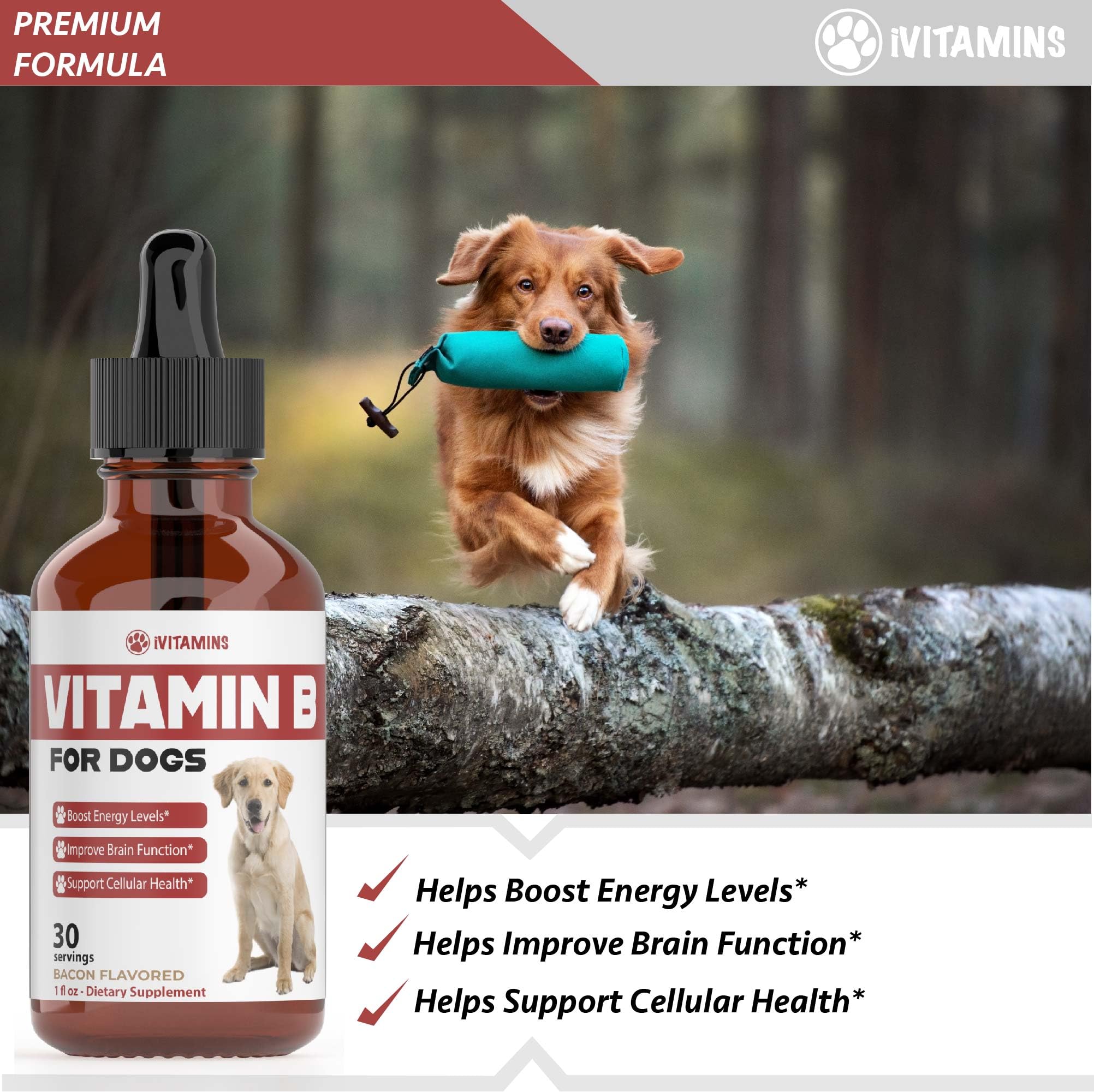 iVitamins Vitamin B drops bottle emphasizes gentle, fast-absorption canine health