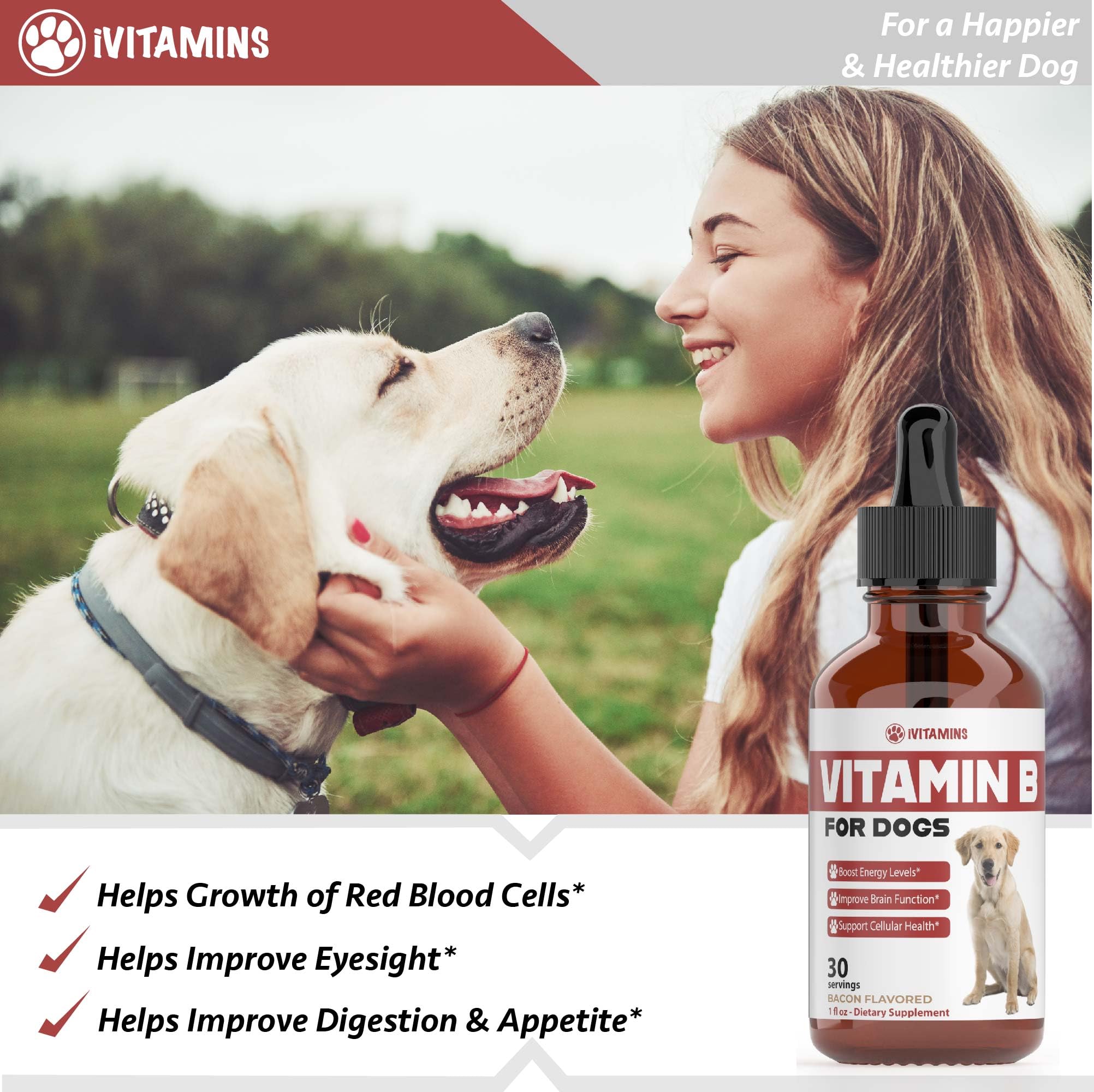 iVitamins Vitamin B for Dogs energy support in active dogs
