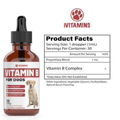 iVitamins Vitamin B drops image highlights easy administration for dogs