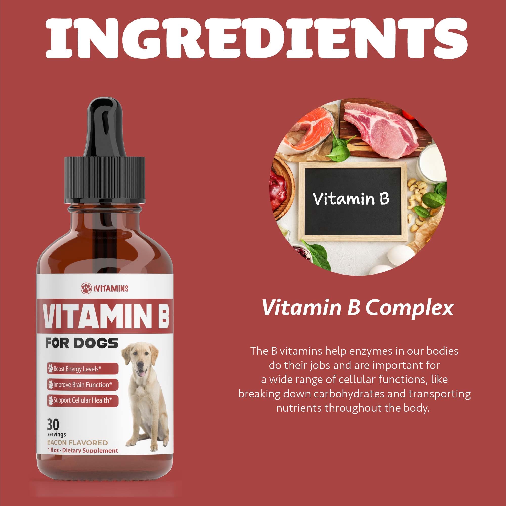 iVitamins Vitamin B for Dogs puppy-friendly formula for all breeds