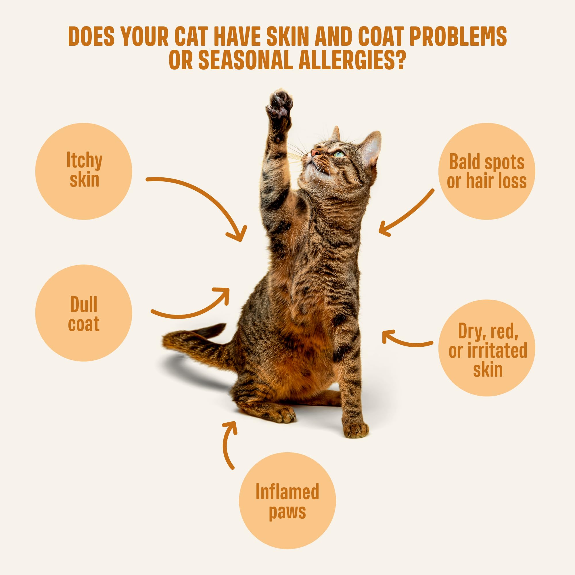 ivvi skin coat cat salmon oil ingredient provides moisture for the coat.